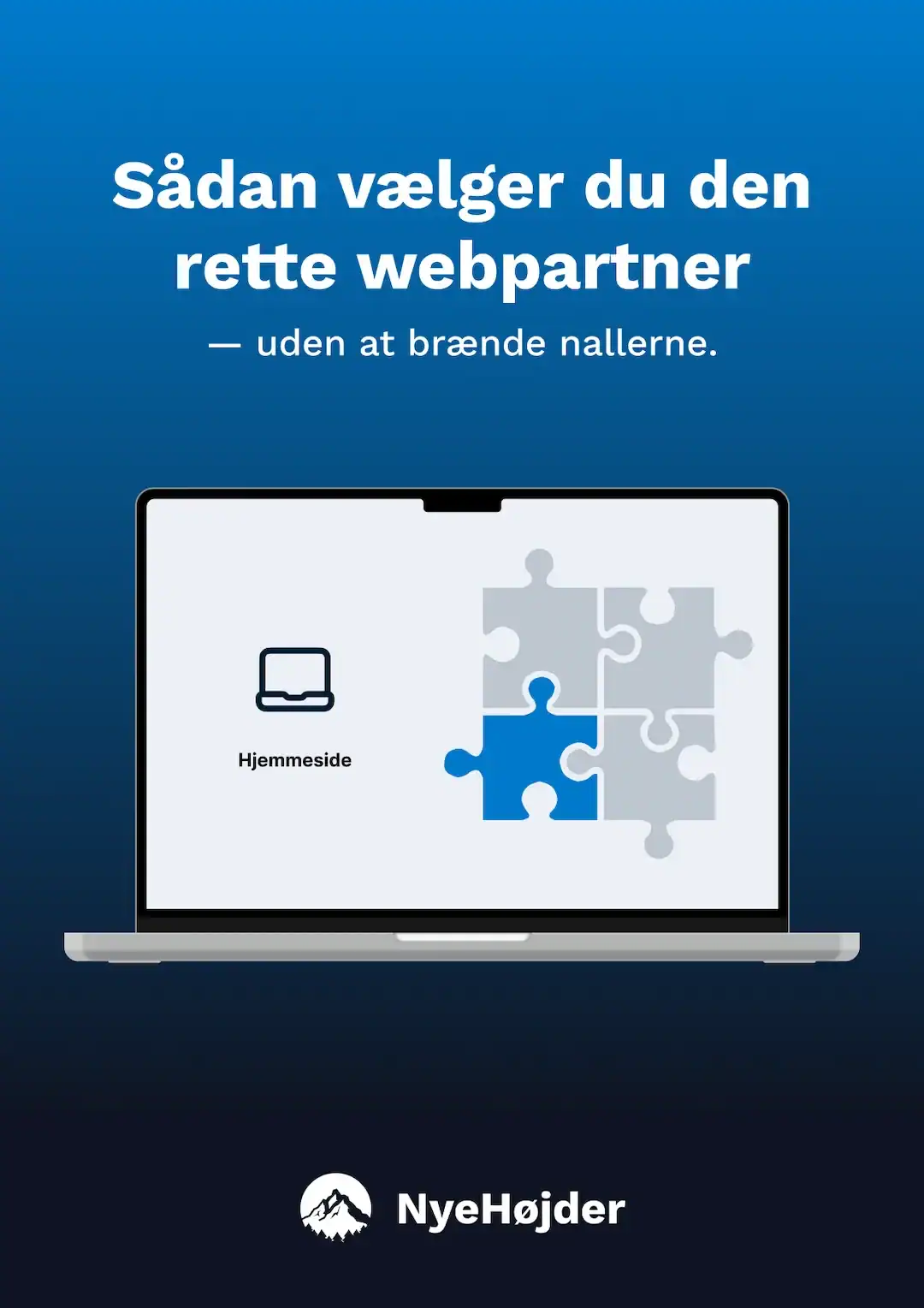 Sådan vælger du den rette webpartner — uden at brænde nallerne.
